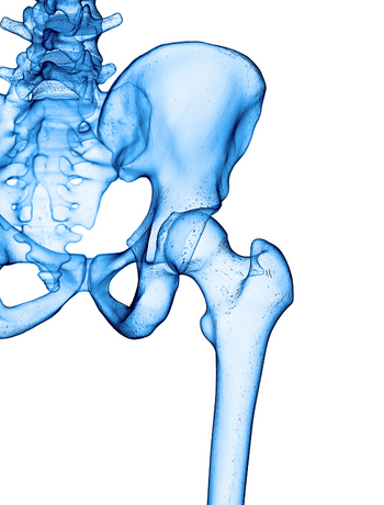 Acer Fitness hypermobility hip pain